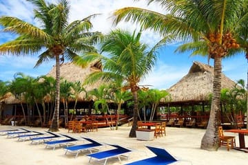 Roatan Beach Club Experience with Sloths and Monkeys