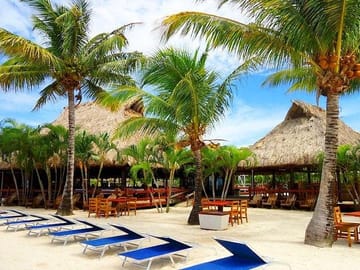 Roatan Sun & Fun, Sloths & Monkeys, Beach & Private Transfer
