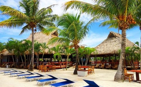 Roatan Beach Club Experience with Sloths and Monkeys