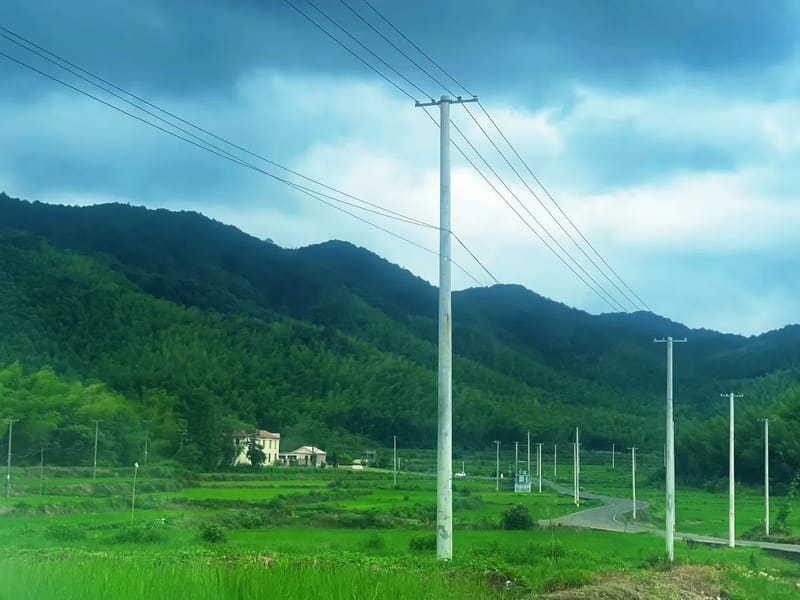 Ningbo: Tea Gardens & Dongqian Lake Private Day Trip