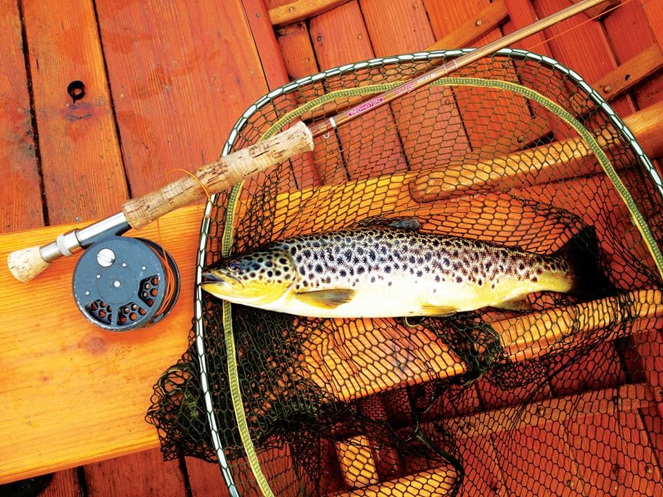 Wild brown trout fishing on Lough Corrib, single fisherman. Galway. Private guided. 2