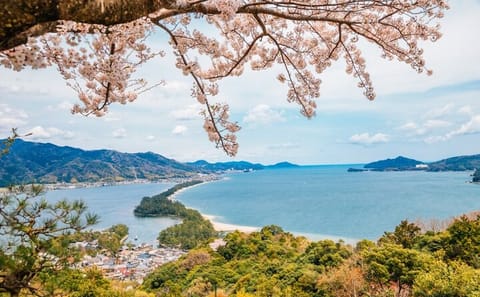 Amanohashidate and Ine Bay Private Trip from Kyoto