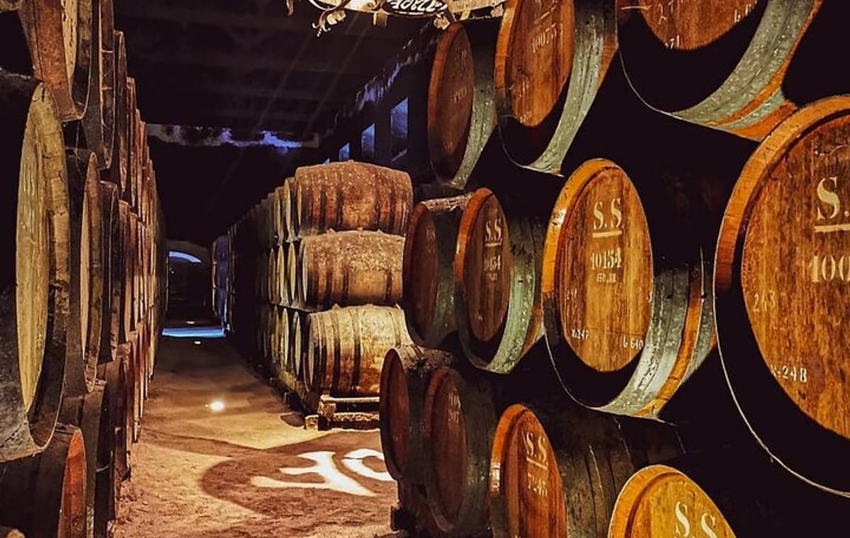 Arrábida & Sesimbra Day Trip from Lisbon – Wine Tasting, Nature and Beaches