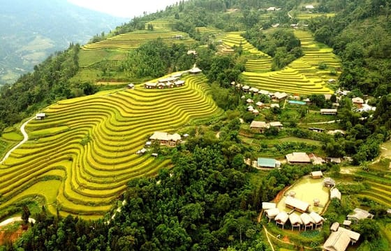 Private Car 2 Days 1 Night Hoang Su Phi in Hagiang