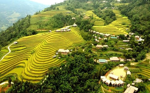 Explore Hoang Su Phi: 2-Day Private Tour in Hà Giang