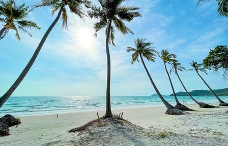 Cultural and Nature Day Tour of Phu Quoc Island