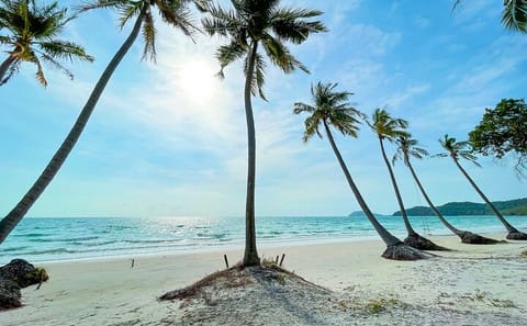 Cultural and Nature Day Tour of Phu Quoc Island