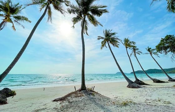 Phu Quoc Sightseeing Day Tour