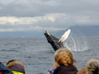 Humpack saying "Hi there"!