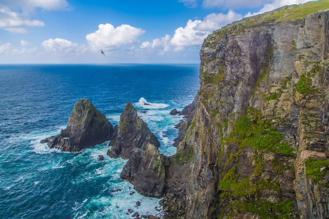 Marine wildlife cruise to Inishturk Island. Galway. Private guided.  7