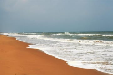 Chennai to Pulicat Bird Sanctuary Day Tour with Boat Ride