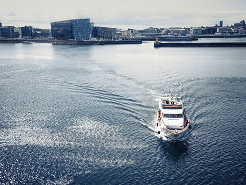 Puffin Watching Yacht Cruise from Downtown Reykjavík – Small Group Experience, photo 18