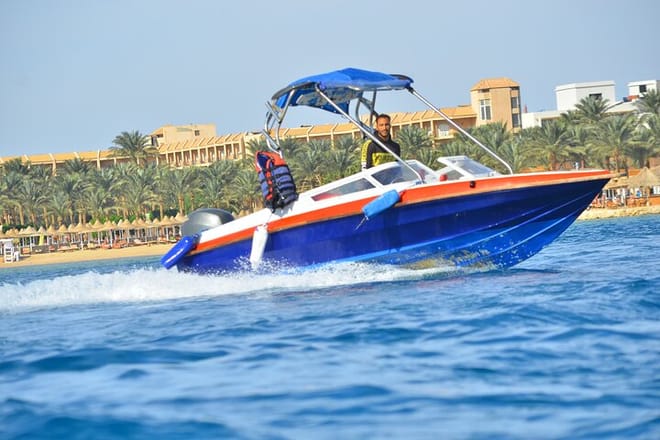 Swim With Dolphin By small-group Speedboat &amp; Transfer - Hurghada