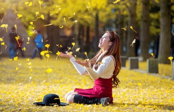 All Day Private Make your own plan tour to Nami Island and others