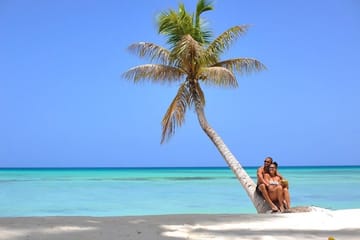 Saona Island Day Trip from Punta Cana with Lunch and Drinks