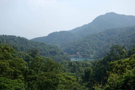 Private guided tour of Zhaoqing
