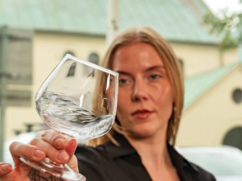Private Himbrimi Gin Tasting in Reykjavik — An Icelandic Spirits Experience, photo 4