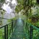 Cloud Forest hanging Bridges tour