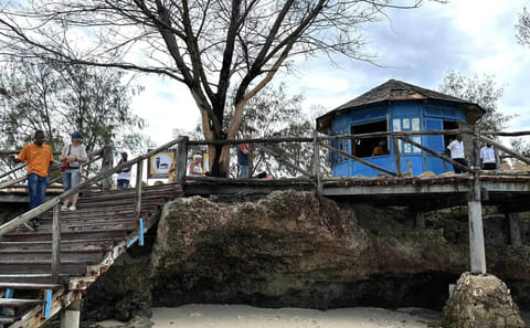 Zanzibar: Escape To Prison Island: Nature’s Giants and Historical Secrets