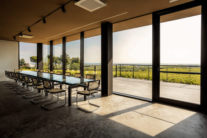 Wine tour between history and gourmet tasting at Feudo Antico Winery - Photo 2