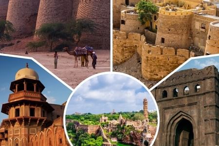 Classical Fort and Palace Tour