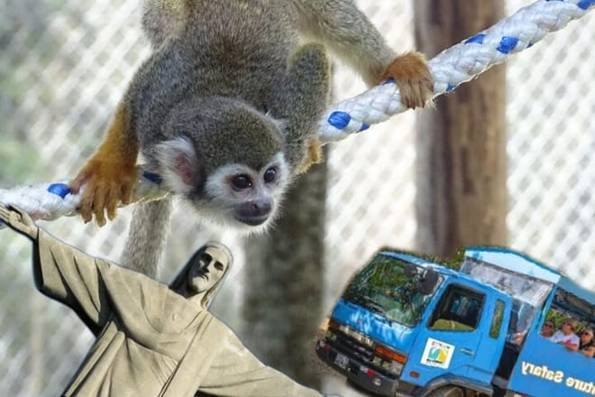 3x1: Puerto Plata Cable Car, City Tour & Monkeyland 5