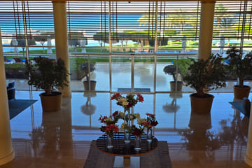 Private Full Day Tour to Aqaba Red Sea from Wadi Rum