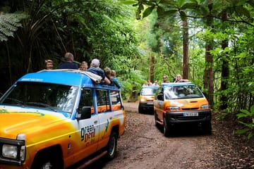 Full Day ATV and Minivan Tour in Porto Moniz
