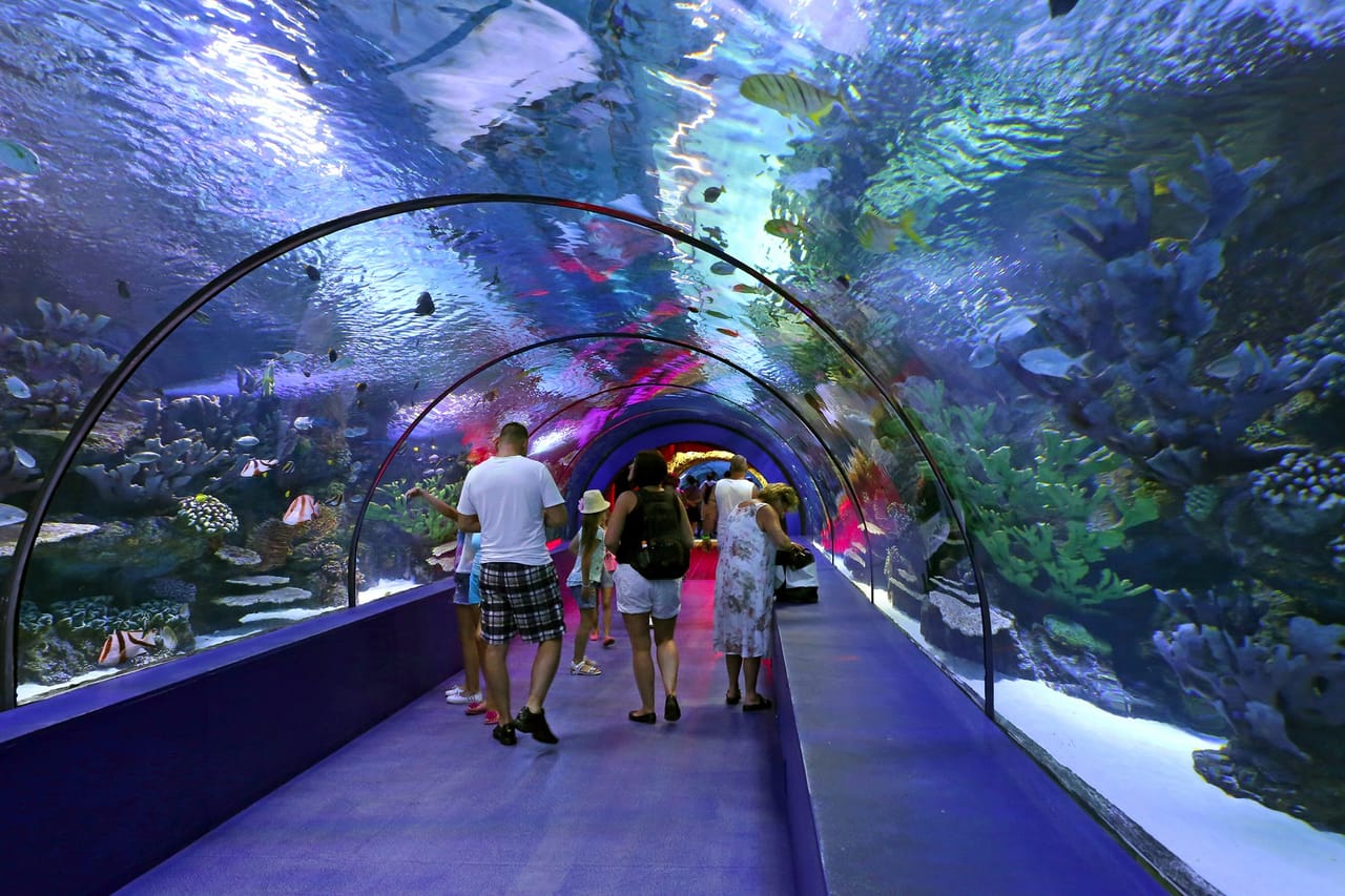 Antalya: Aquarium, Wax Museum & Combo Package Options 3