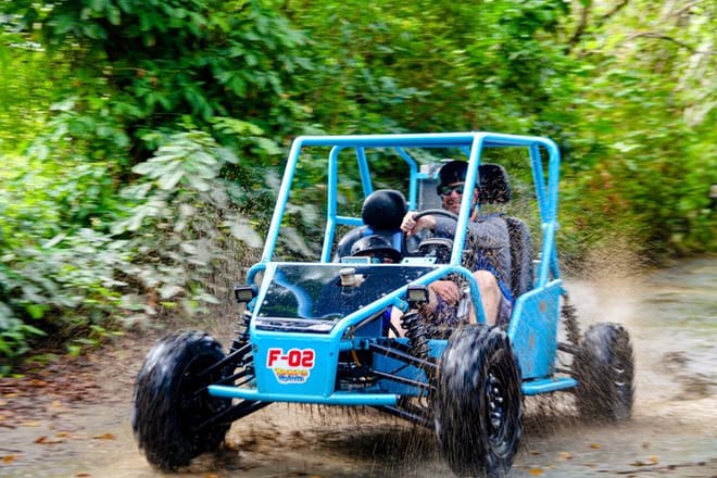 Visit to a local Ranch Plantation with Monkeys Horseback & Buggy 7