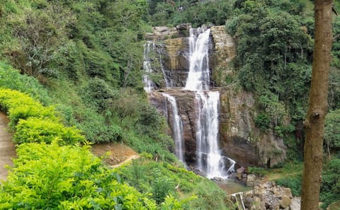 Hill Country Train Journey in Colombo, Sri Lanka