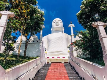Luxury 10-Day Tour of Colombo and Sri Lanka's Highlights