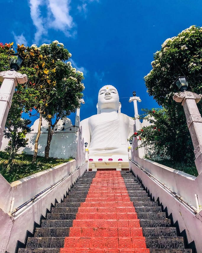 Experience a  Luxury Tour Around Sri Lanka In 10 days 6