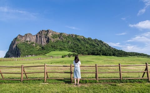 Private Jeju Island Highlights Tour for Cruise Passengers