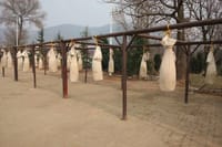 Private Day Tour to Shaolin Temple with Kungfu Class from Luoyang 4