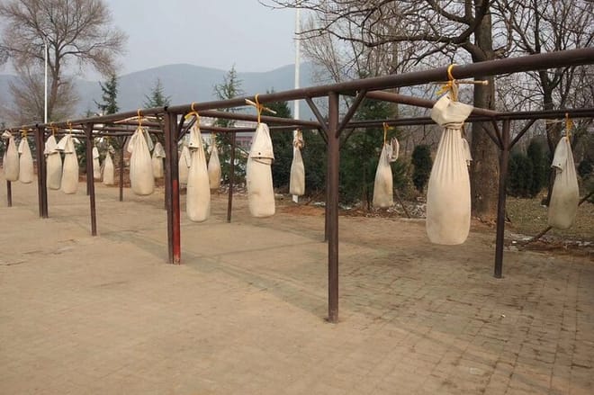 Private Day Tour to Shaolin Temple with Kungfu Class from Luoyang photo 4