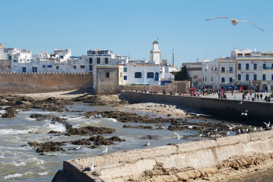 Surf Experience in Essaouira