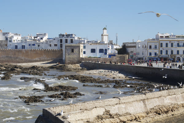 Surf Experience in Essaouira