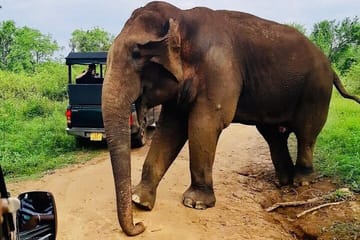 14-Day Luxury Private Tour of Sri Lanka's Highlights