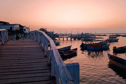 Man-07 : Mangrove Mysteries – Puerto Pizarro Tour