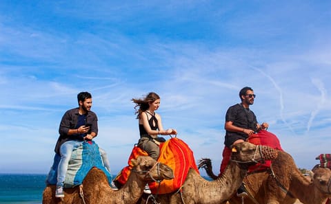 Camel Ride Tour to Cap Spartel and Hercules Cave from Tangier