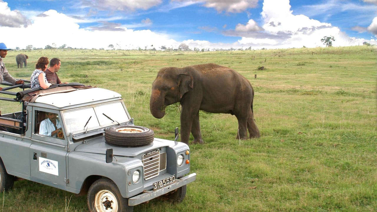 Habarana Adventure Day Tour 6