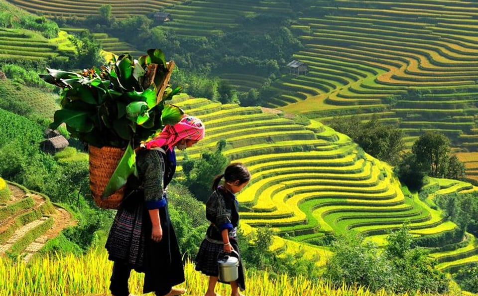 Hanoi to Sapa Adventure: 2-Day Bus Tour with Overnight Stay