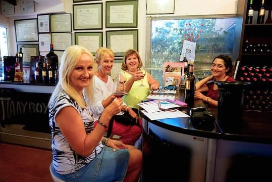 Wine Roads Private Day Tour: Corinth, Ancient Nemea & Wine Tasting from Athens