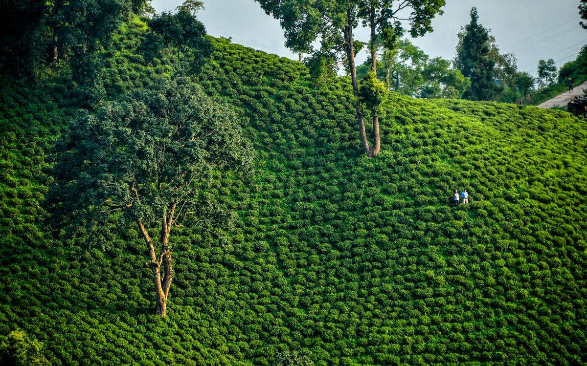 19 Days Mera Peak Climbing & Expedition – One Life-Changing Himalayan Adventure