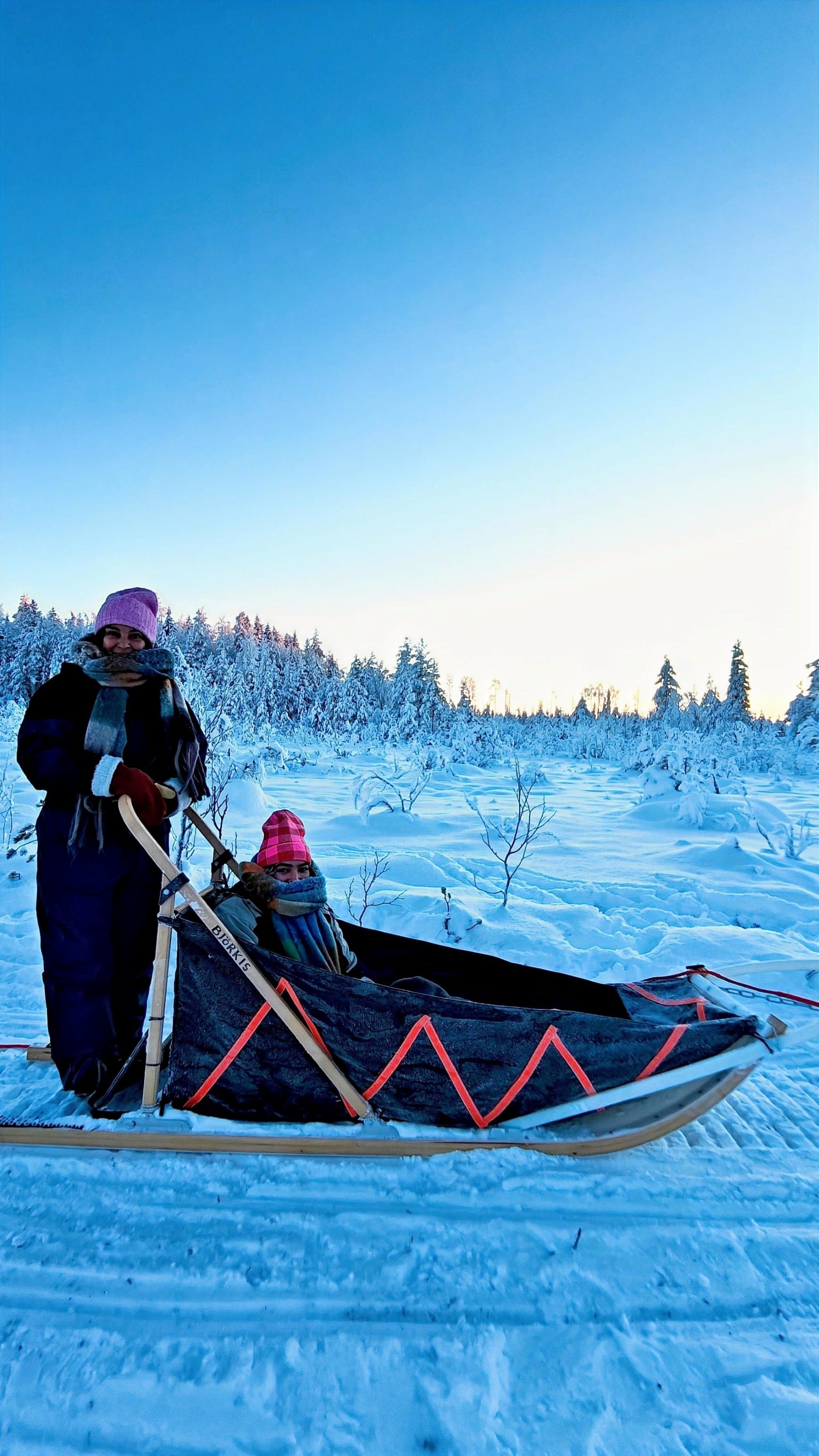 Guests driving a husky sled — Two guests driving a self‑ride husky sled through snowy forest.