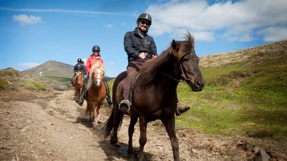 Horse riding in Iceland — the tölt, the Golden Circle combos and who it actually suits