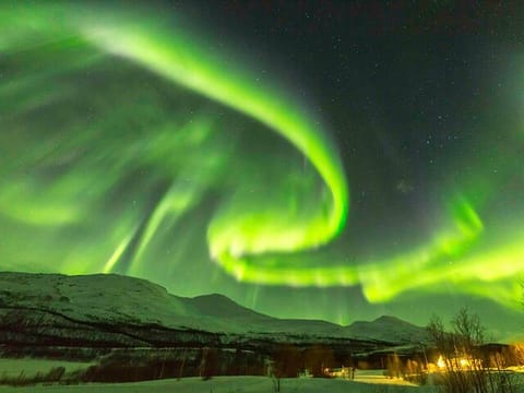Iceland Reykjavik Northern Lights Bus Tour guided in Chinese冰岛雷市中文极光团, photo 2