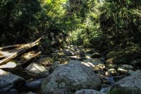 4-Day Private Guided Tour From São Paulo To Rio de Janeiro – Coastal Trip 10