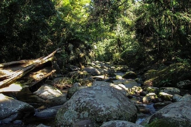 4-Day Private Guided Tour From São Paulo To Rio de Janeiro – Coastal Trip 10